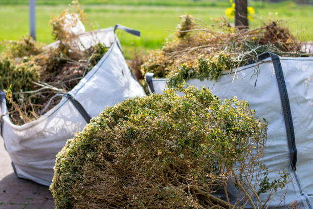 Best Household Junk Removal  in Paxton, IL